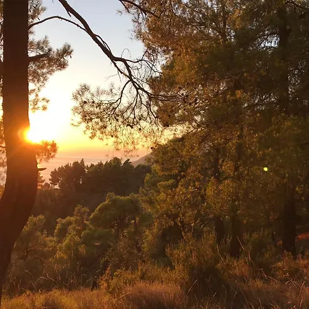 Esperos Petit House Σπίτι διακοπών Νεροτριβιά